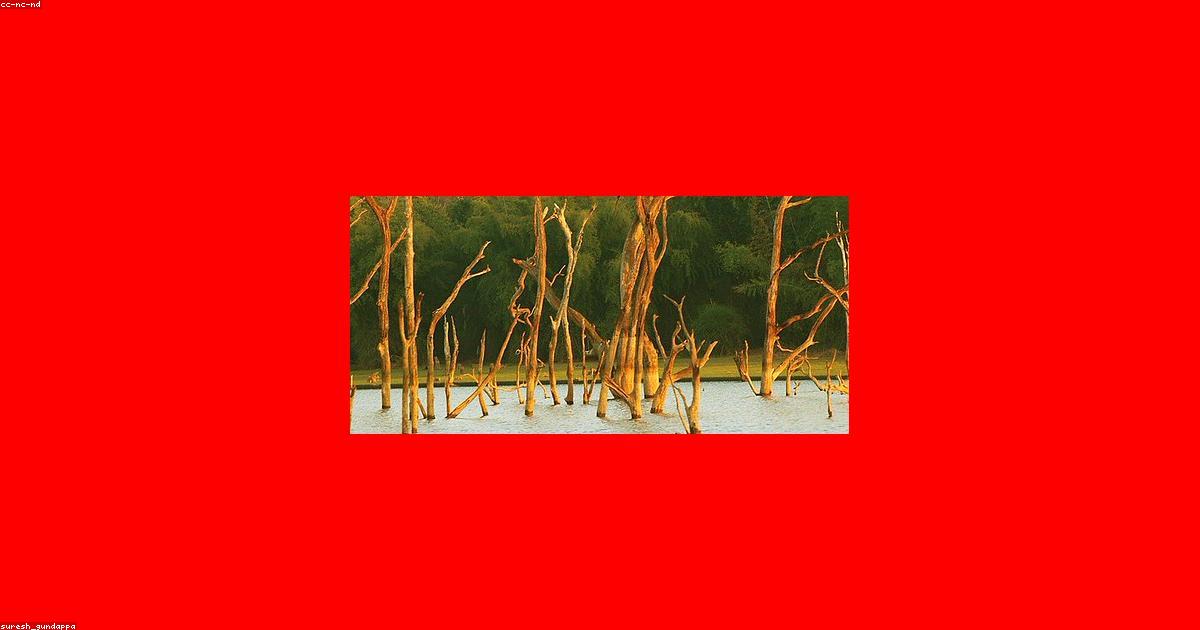 AI绘画工具大比拼：Midjourney vs Stable Diffusion vs DALL-E 3