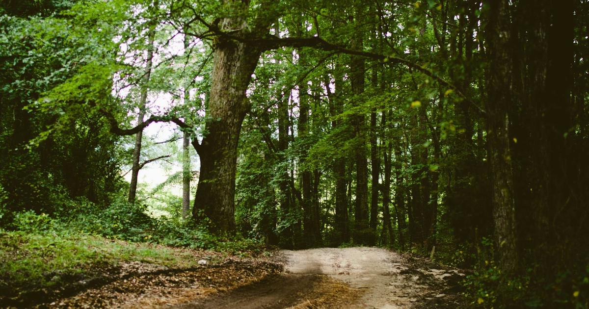销售跟进不靠记性：用AI把通话记录变成下一步与风险提醒