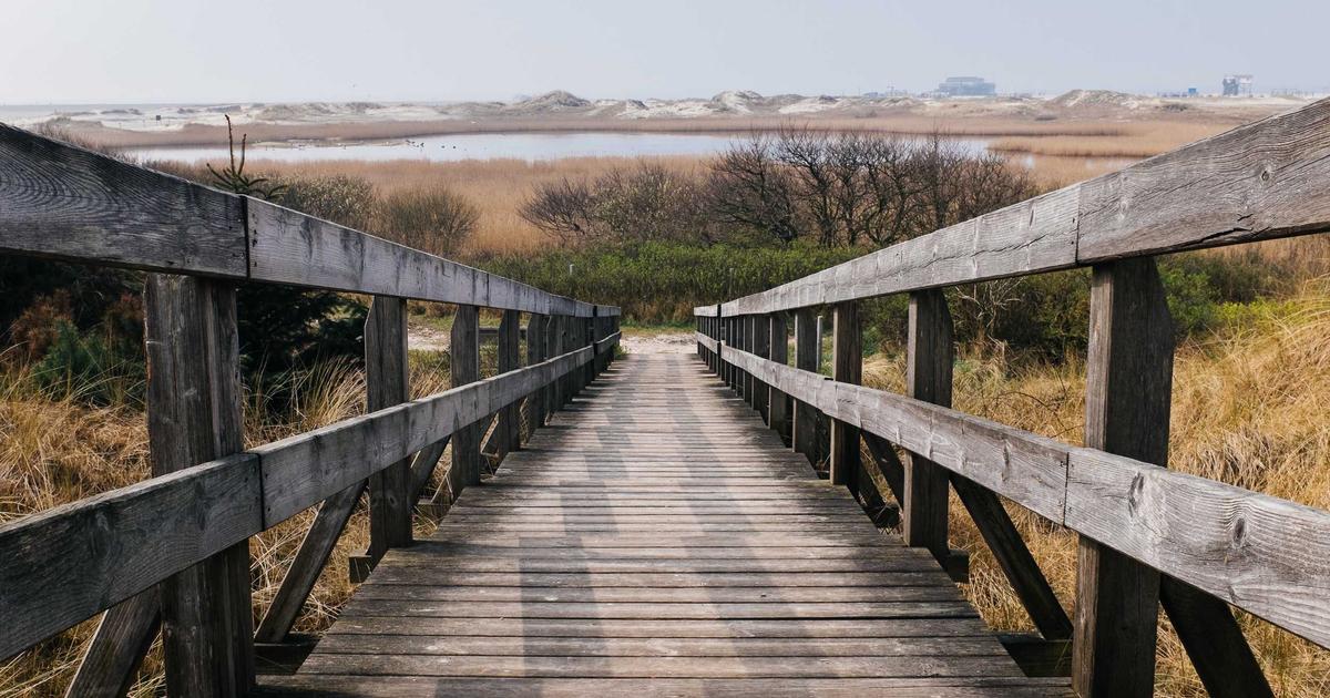 写SQL别靠猜：数据问答智能体先确认指标口径再出查询