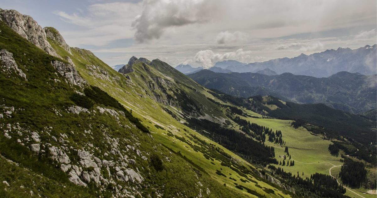 竞品分析别抄功能:用”用户任务对比”找差异化