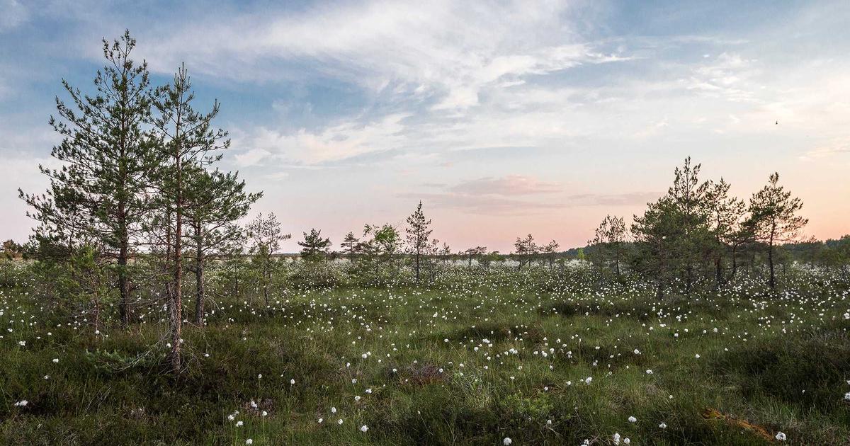 数据脱敏不是打星号：字段分级智能体设计”可用又安全”的数据集