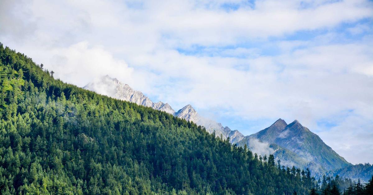 开源README首屏决定使用率：首屏价值智能体让30秒看懂项目