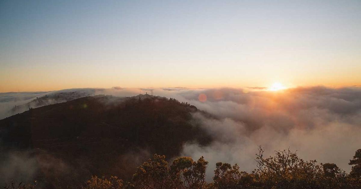AI广告文案工厂：多平台一键改写与分发
