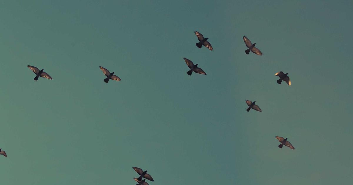 AI招聘初筛自动化：简历打分与面试邀约怎么衔接