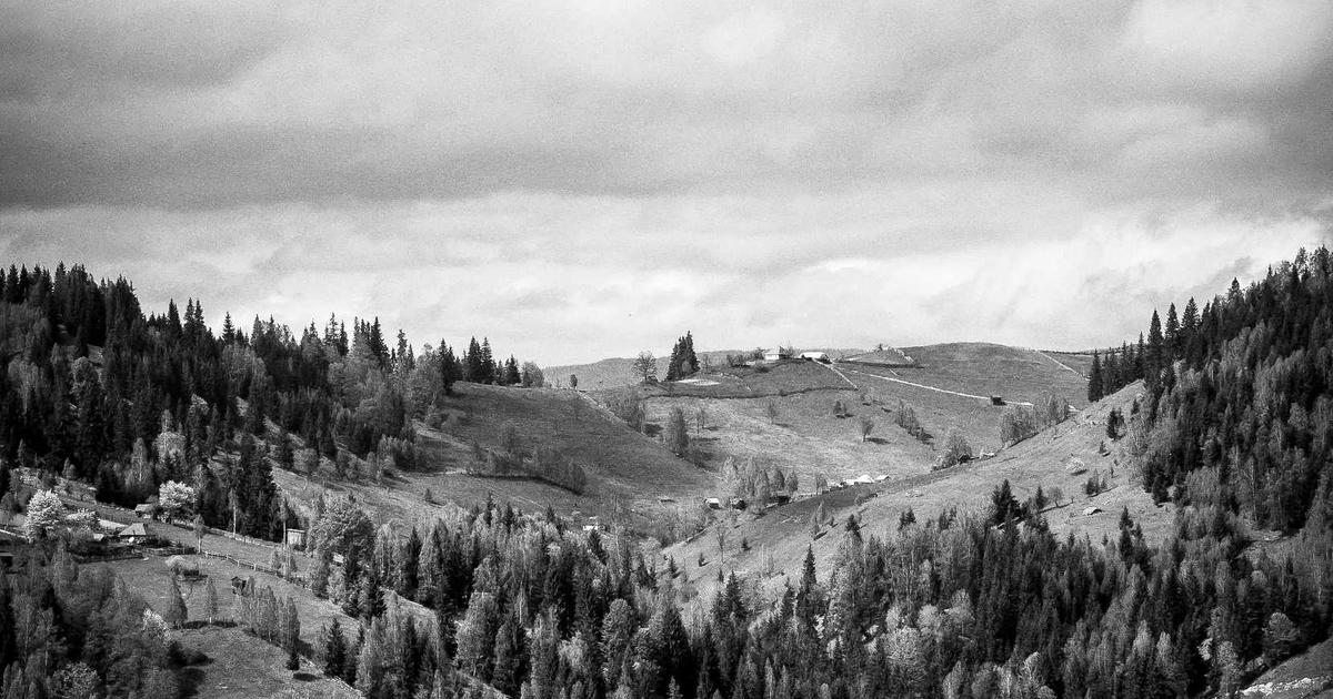 AI广告文案流水线:多平台一键改写与排期发布