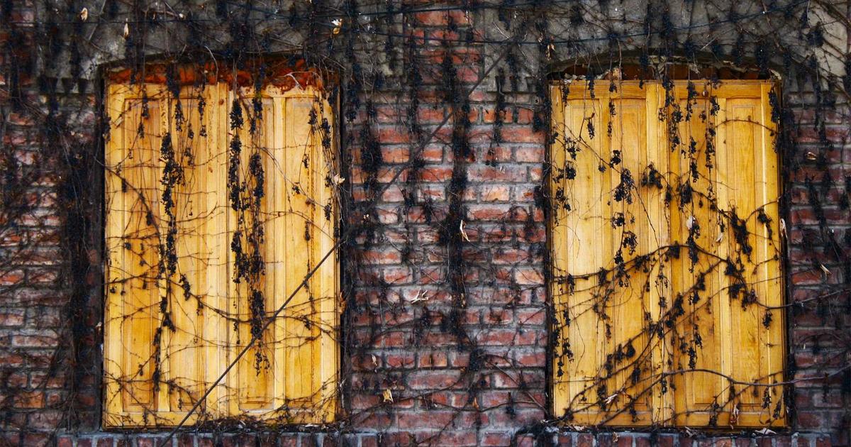 AI客户流失预警:提前识别高风险用户并自动触达