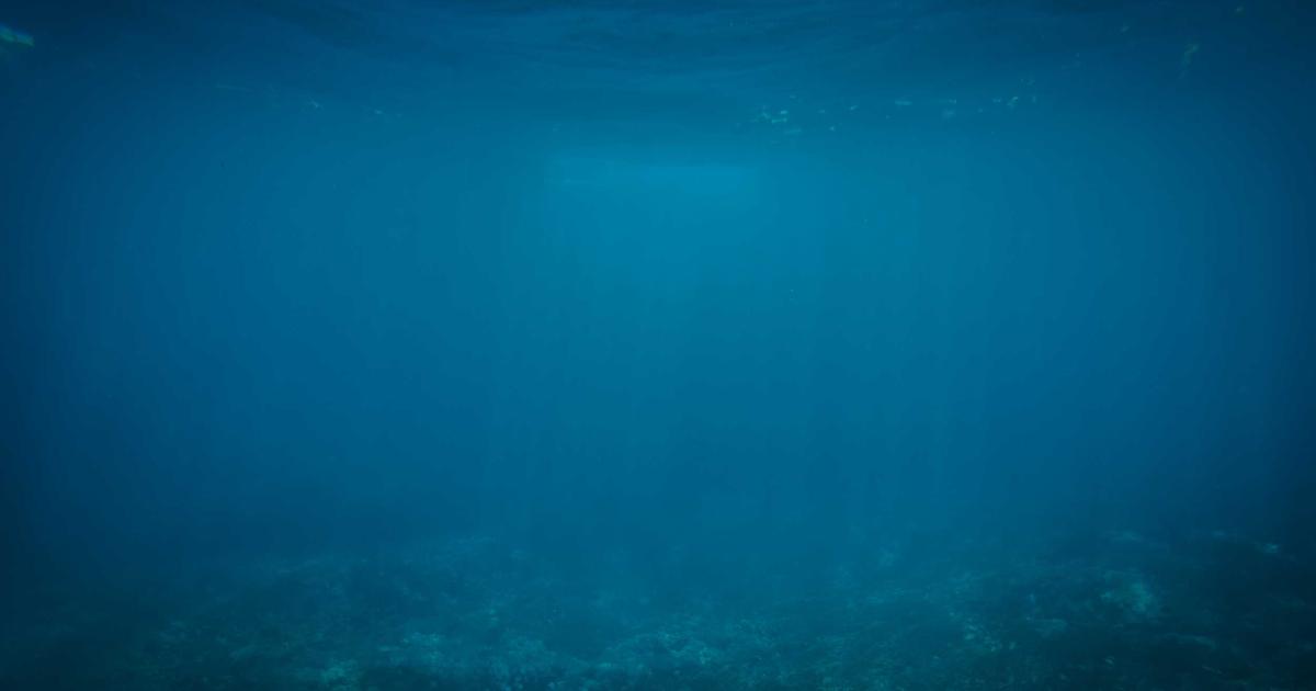 用 OpenClaw+Claude 自动抓取 CRM 线索并生成每日跟进话术