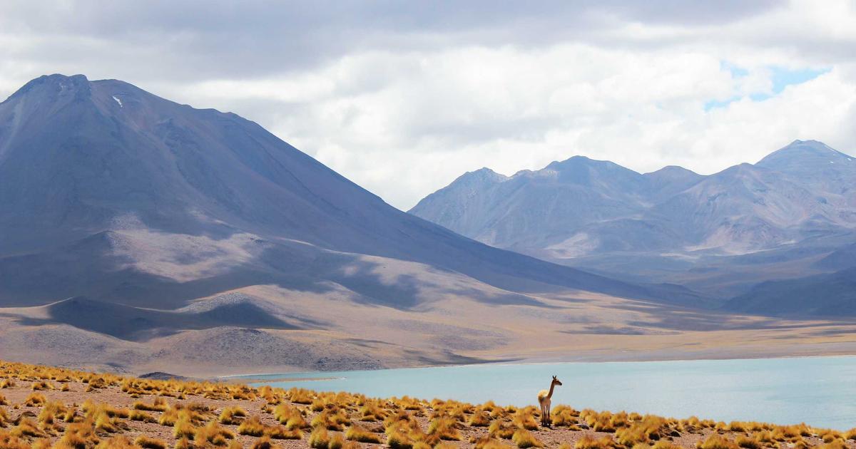 AI跨境客服多语言应答：降低误解与差评的实操方案