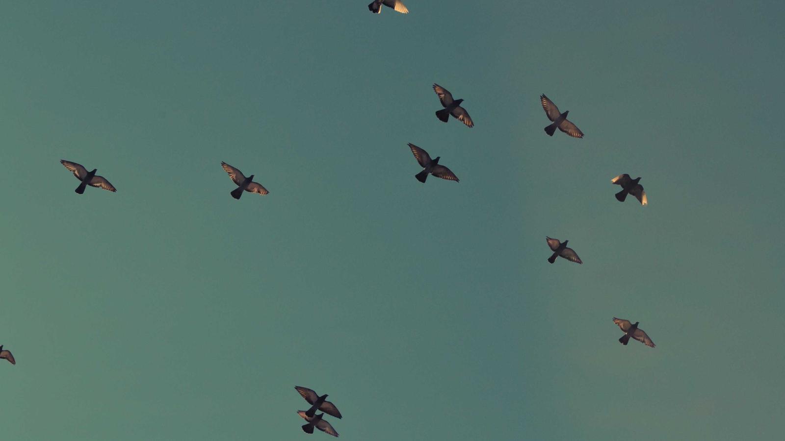 AI私域运营SOP：自动跟进与流失预警（单篇实操版）