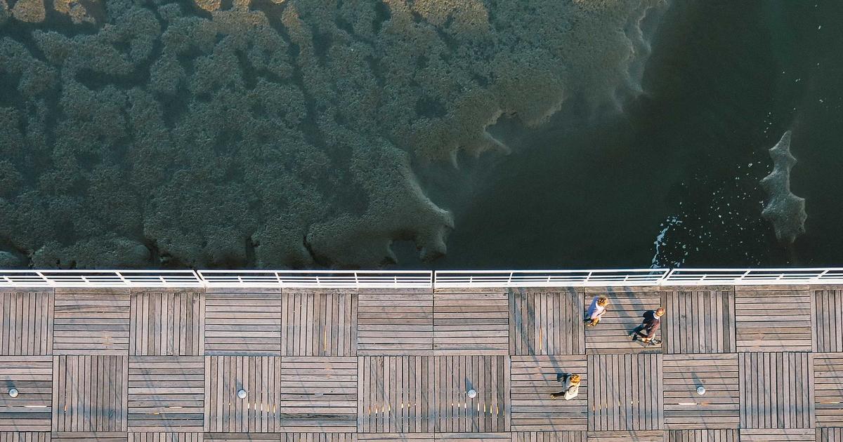 AI用户分群：从粗放运营到精细化触达（单篇实操版）