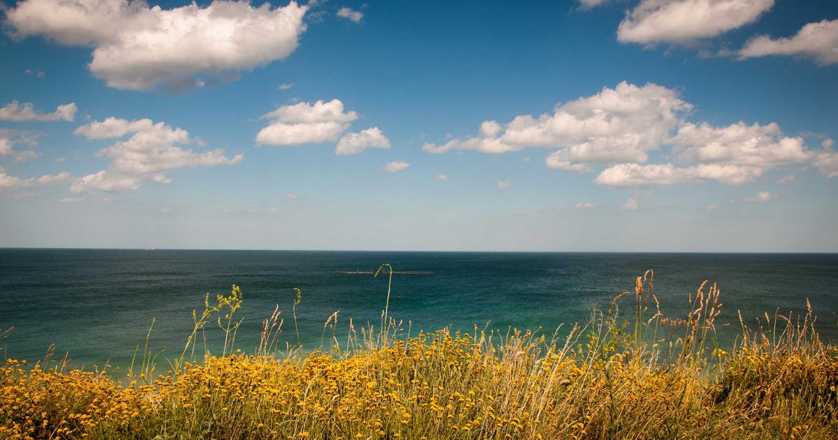 AI代码审查自动化：把低级Bug拦截在提交前