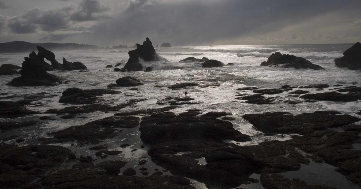 AI竞品监控日报：自动追踪对手动态与价格变动