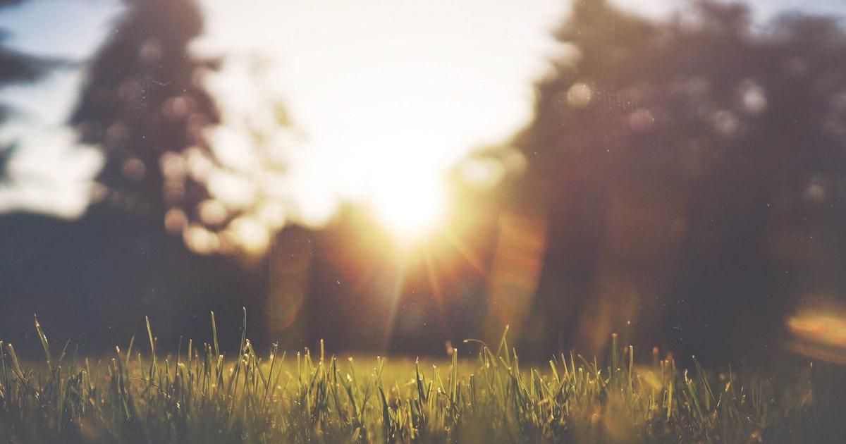 AI智能客服质检：从抽查到全量自动评分