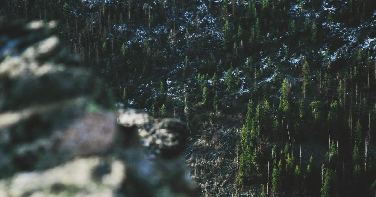 AI产品需求分析：从用户反馈中提炼优先级