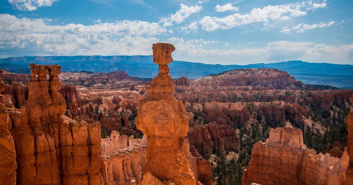 AI自动化测试生成：把QA从重复用例编写中解放