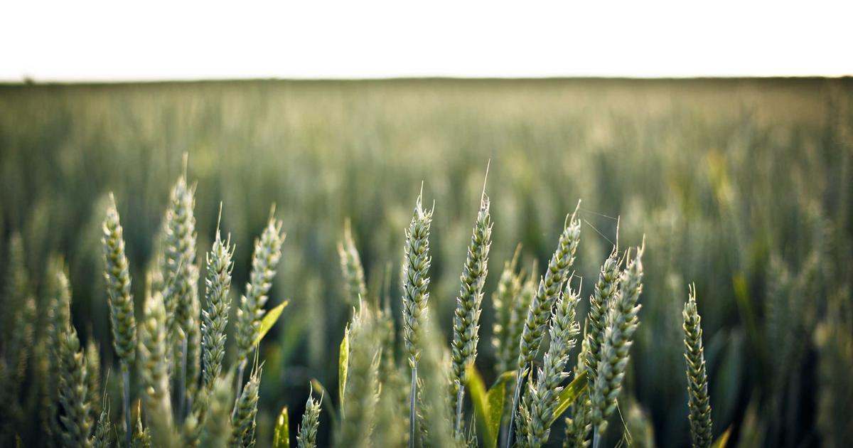 AI数据可视化生成：把枯燥表格变成直观图表