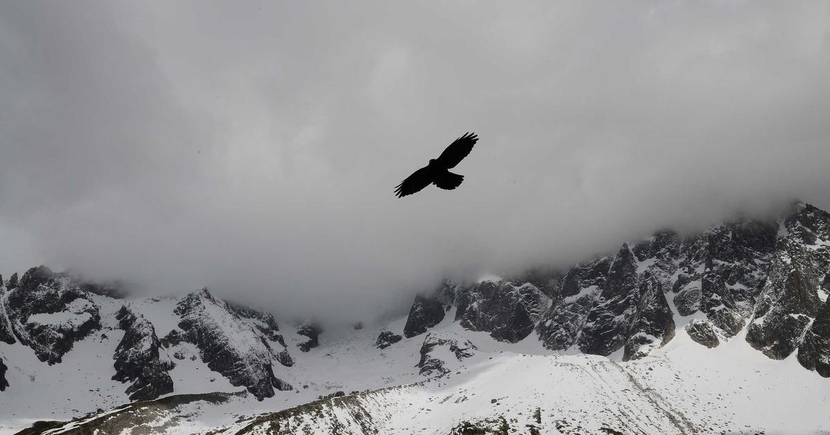 AI外呼复盘：从通话到商机的自动化链路（实操版）