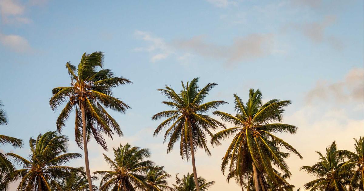 AI驱动的金融风控：信贷审批与反欺诈智能化