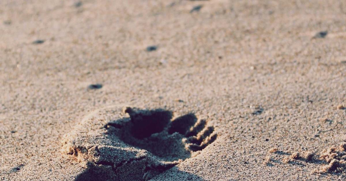 AI驱动的数据分析：从报表到洞察的智能化升级