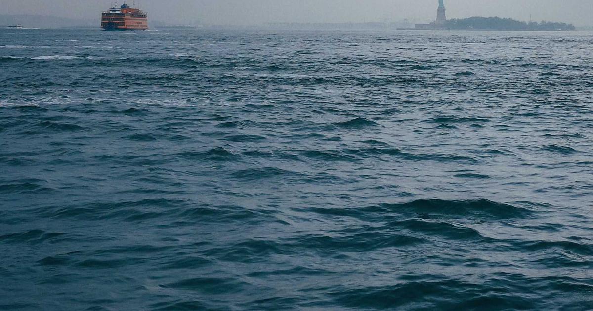 AI时代的技能重塑：哪些能力会增值，哪些会贬值