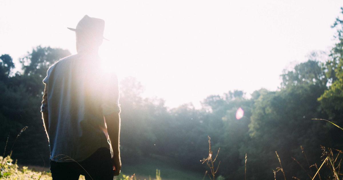 AI实战案例精选：50个行业落地成功经验总结