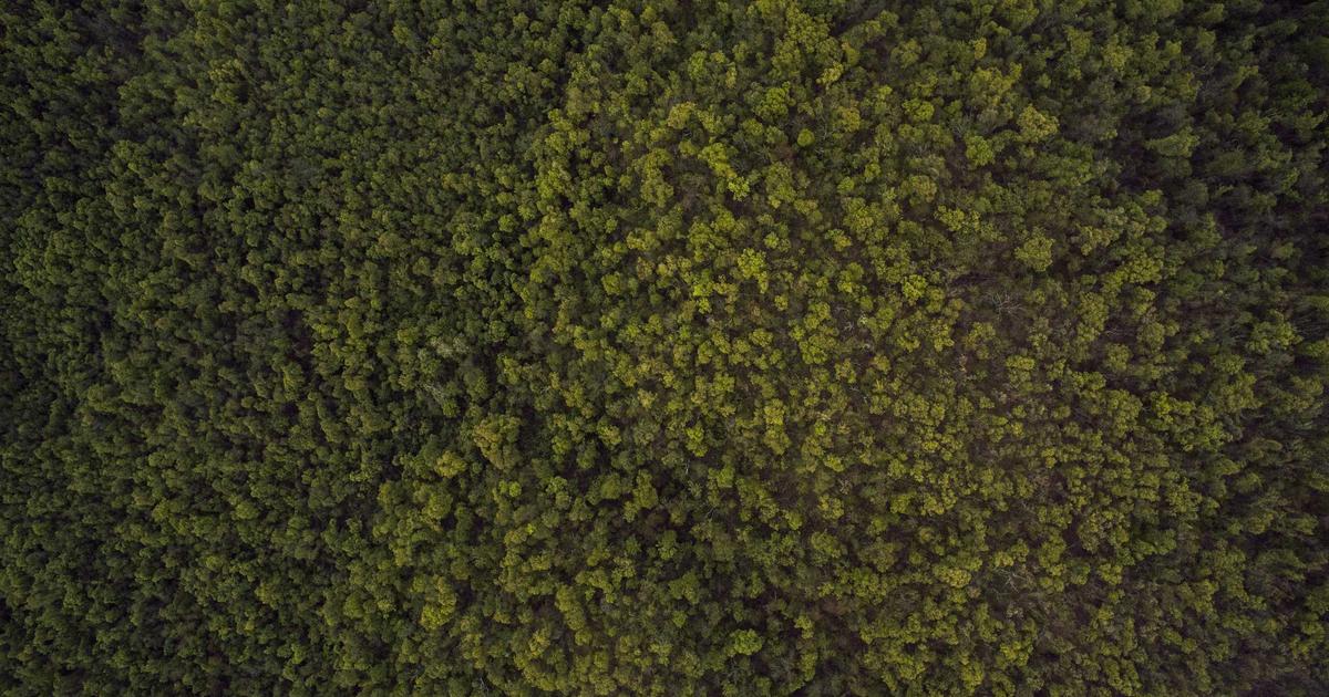 AI与创意激发:如何用AI打破思维定势