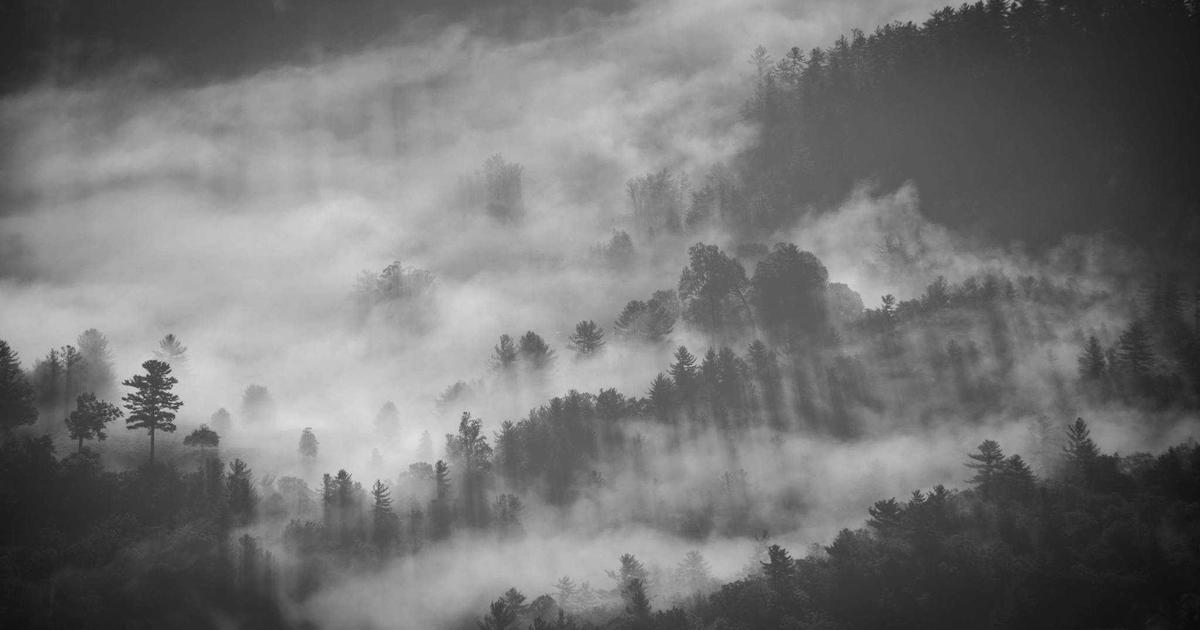 预算审查日：成本解释智能体把账单翻译成”可控动作”